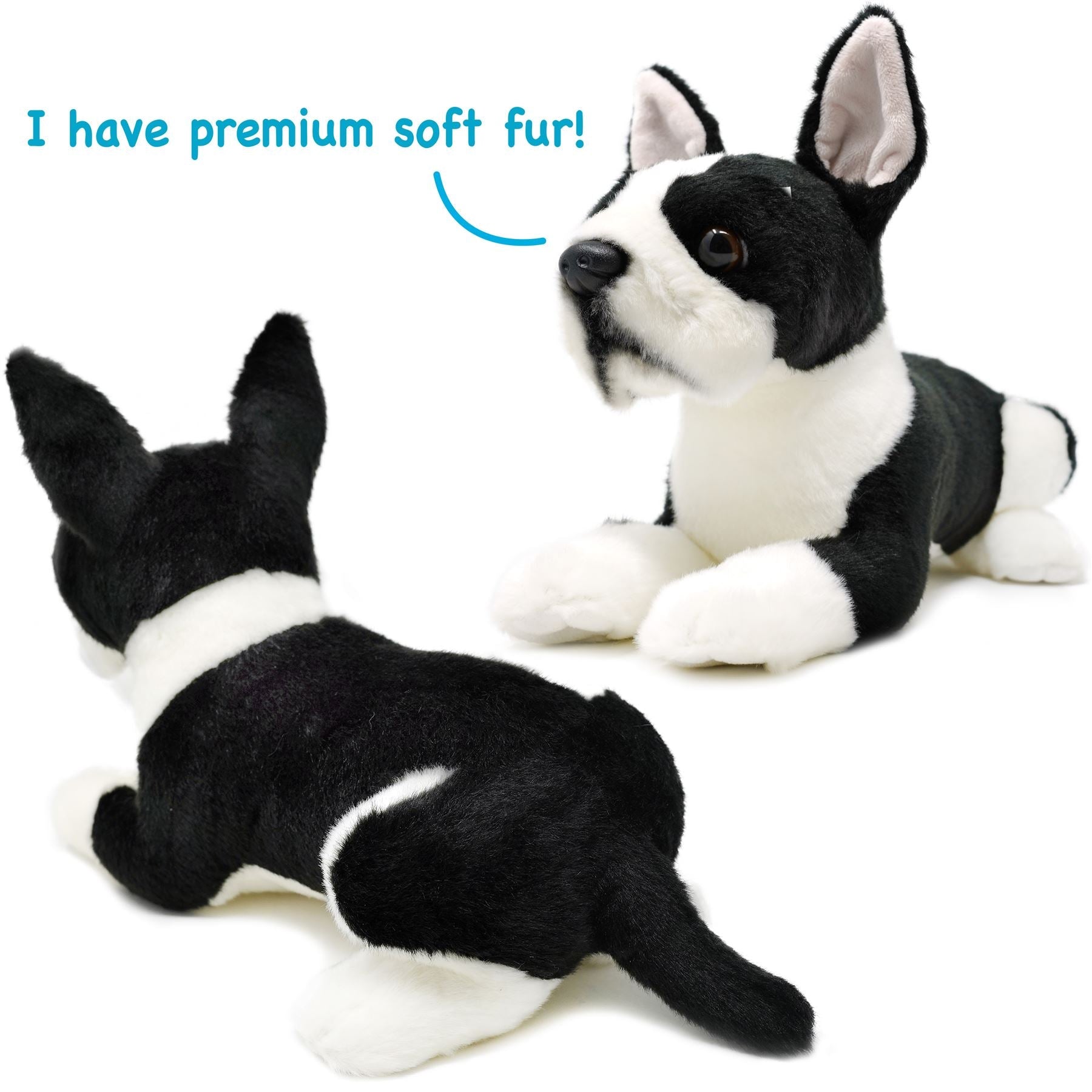 Baxter The Boston Terrier | 13 Inch Stuffed Animal Plush | By TigerHart Toys