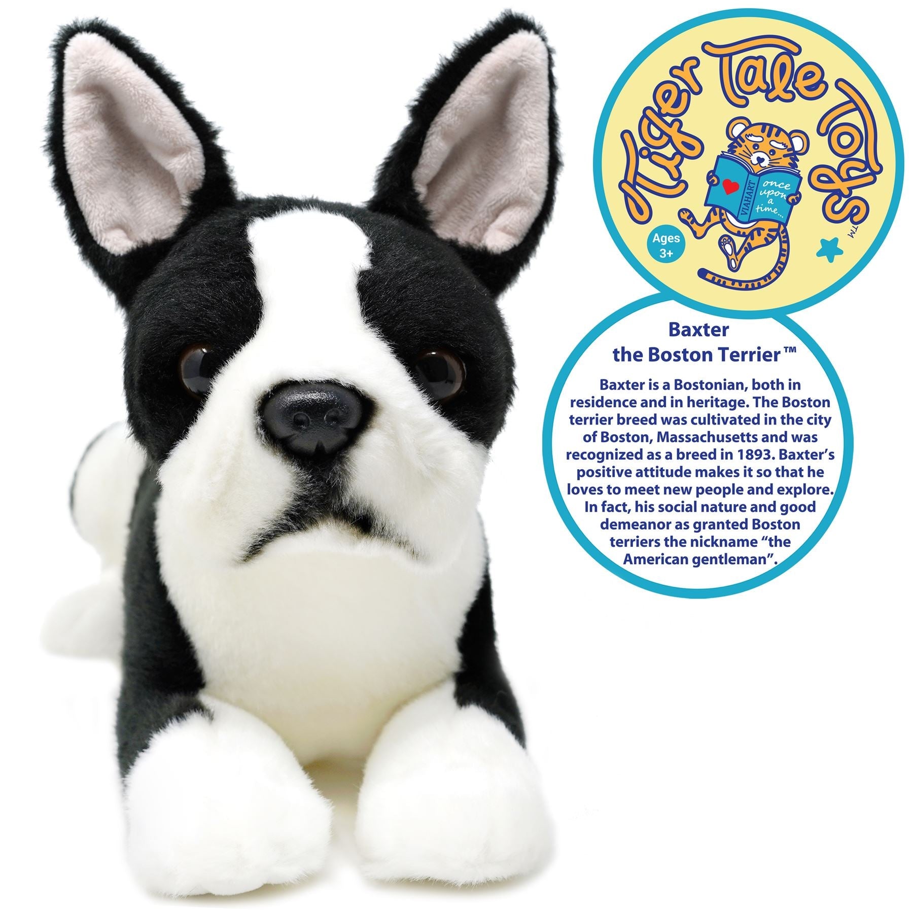 Baxter The Boston Terrier | 13 Inch Stuffed Animal Plush | By TigerHart Toys