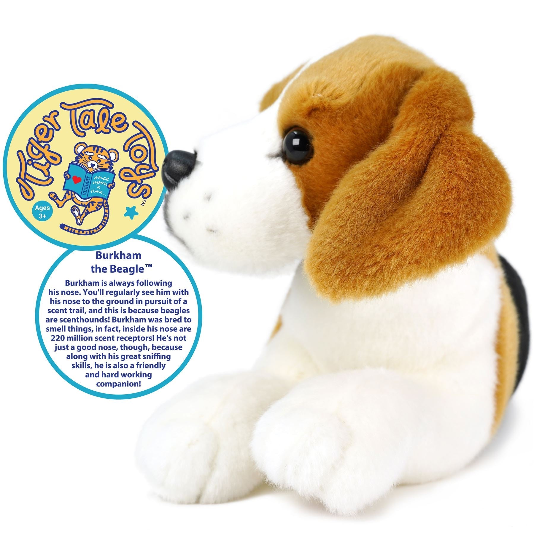 Burkham The Beagle | 14 Inch Stuffed Animal Plush | By TigerHart Toys