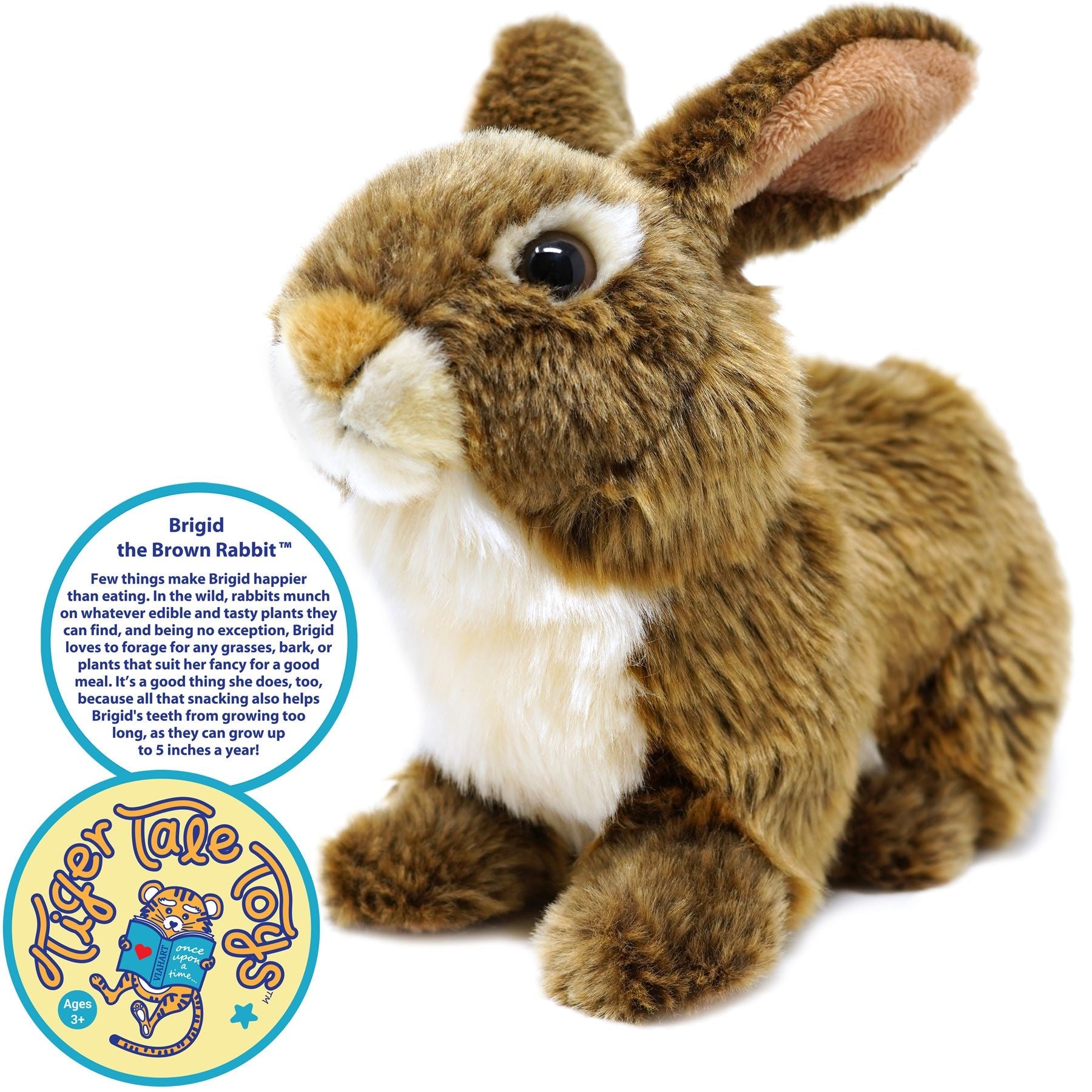 Brigid The Brown Rabbit | 10 Inch Stuffed Animal Plush | By TigerHart Toys