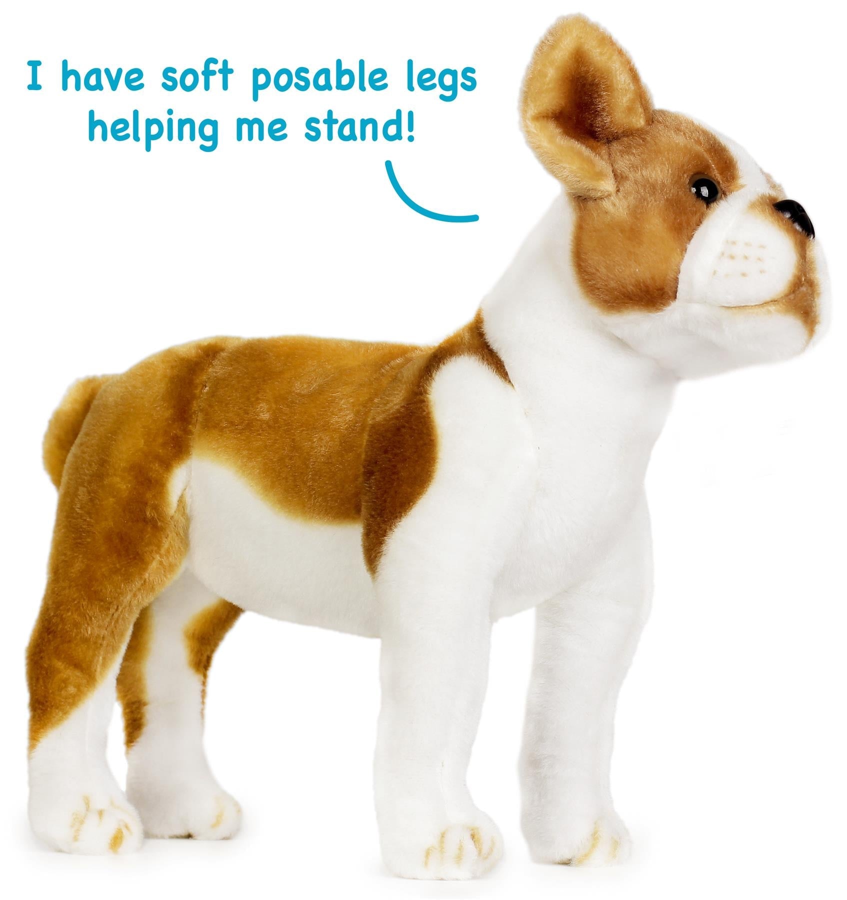 Bobby The Boston Terrier Boxer | 15 Inch Stuffed Animal Plush | By TigerHart Toys