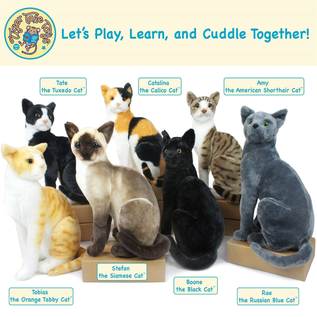 Amy The American Shorthair Cat | 14 Inch Stuffed Animal Plush | By TigerHart Toys
